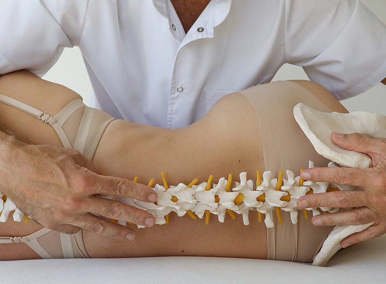 Osteopatas rankomis tiria pacientės juosmenį, šalia – stuburo ir dubens modelis