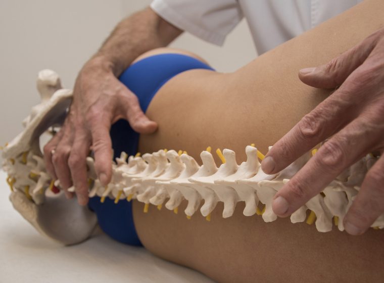 Osteopatas rankomis tiria pacientės juosmenį, priekyje – stuburo ir dubens modelis